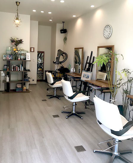 ヘアーピープラス